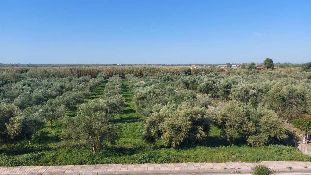 Homonatura. Sense Of Native Living. Pírgos المظهر الخارجي الصورة